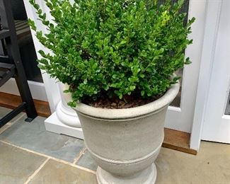 Williamsburg concrete planters  (10 available)