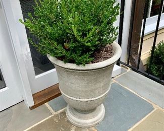 Williamsburg concrete planters  (10 available)