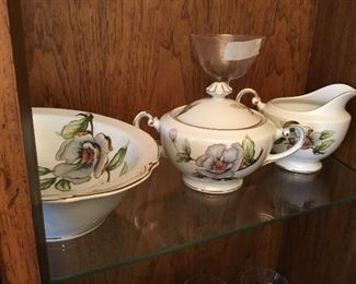 Roselyn China in “Dogwood” pattern