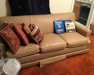 Leather sofa, cushions and books