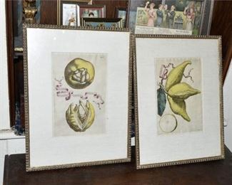 133. Pair of Antique Lemon Lithographs