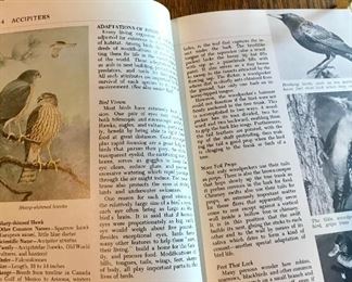 Audubon Nature Encyclopedia