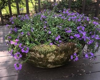 WE HAVE 10 OF THESE ROUND CEMENT PLANTERS(ONLY 2 ARE PLANTED)