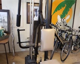 Weider weight lifting exercise