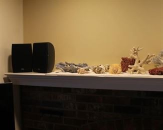 Coral and fish tank accessories