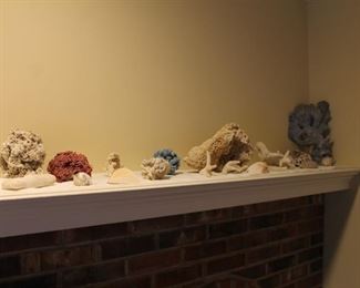 Coral and fish tank accessories