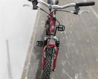 Roadmaster mtn Sport red 20" girls bike