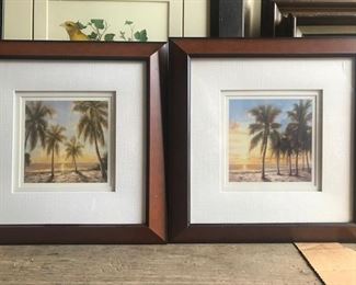 Low Price Tropical Prints, Transitional Frames