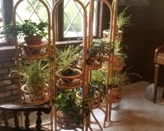 Plant stand with all plants for sale as well