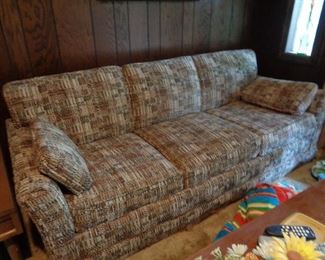 sleeper sofa
