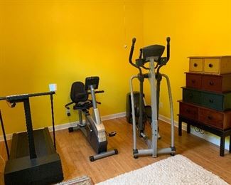 An E82 SportsArt Elliptical, Precor with new mother board, and Schwinn203