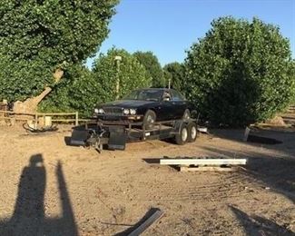 Large Carson car trailer 