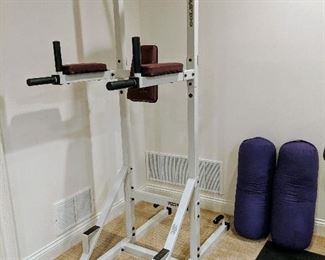 golds gym power tower exercise equipment  