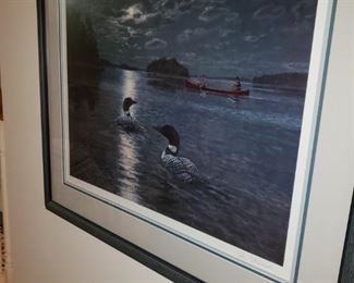 Loon framed print