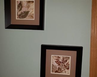 Framed floral prints