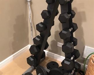 Free weights and stand