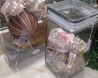 Ocean treasures