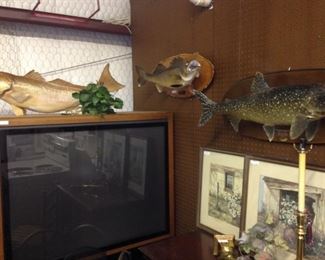 Mounted fish