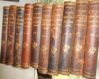 Many, many antique leather books