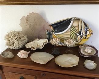 flat coral $35, other coral $15, oyster shells pair $15 other shells $2 to $8.