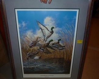 Ducks unlimited