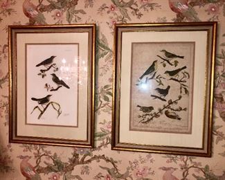 bird plate printed prints 