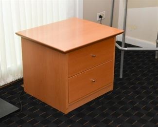 Contemporary / Modern Side Table with 2 Drawers