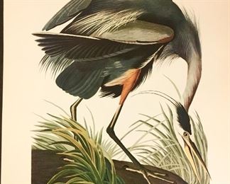 Audubon prints, 1964