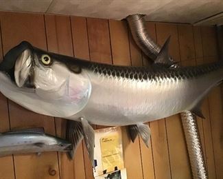 Tarpon - 72” long, 92 pounds