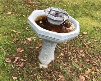 Bird Bath