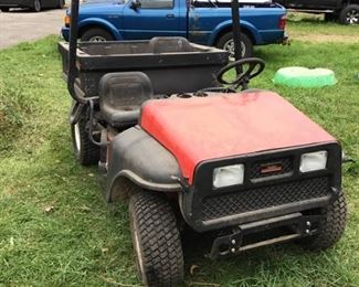 Turf Cruiser