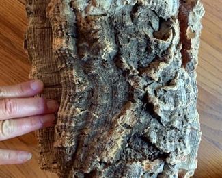 87. Cork Planter (8")