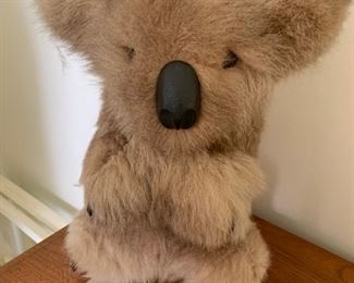 Fur Koala Bear