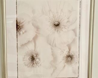166. Close-Up of Flowers B&W Print