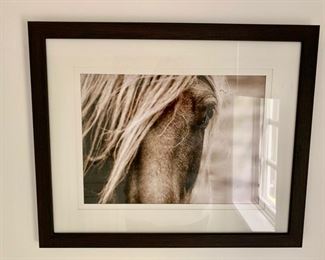 97. Photo Close Up of Horse (22" x 18")