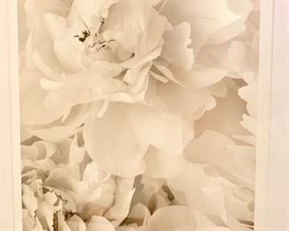 172. Close-Up of Peoney B&W Print