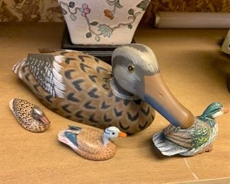 Ducks