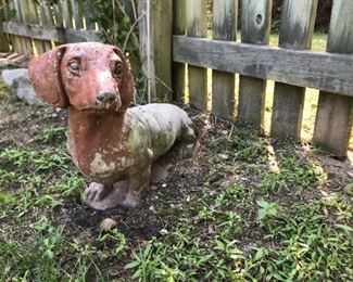 Bob Needs A New Home...