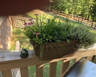 Herb Garden on the Deck.