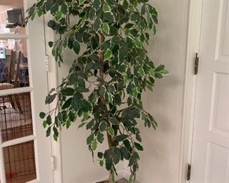 There are 4 of these silk plants