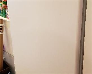 Stand Up Freezer (Like New)