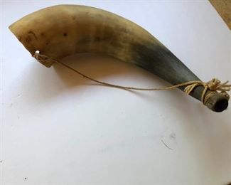 animal horn