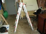 Little Giant Ladder