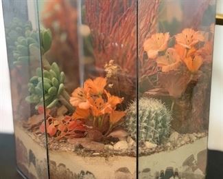 Desert Scene Sand Terrarium #2