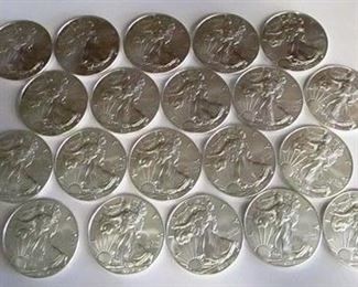 American silver eagle group 
