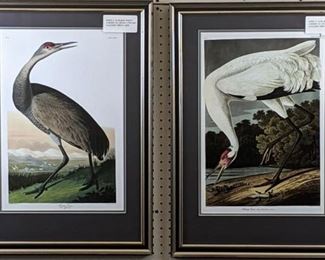 Hooping Cranes by John J Audobon
