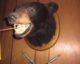 Taxidermy
