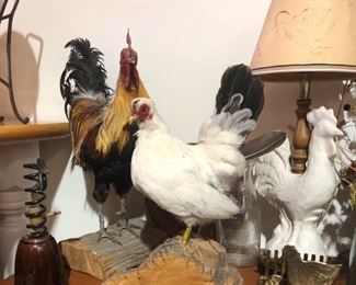 Chickens and Roosters Oh My! 