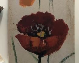 Poppies