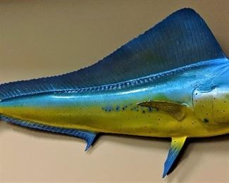 taxidermy fiberglass trophy fish mount 